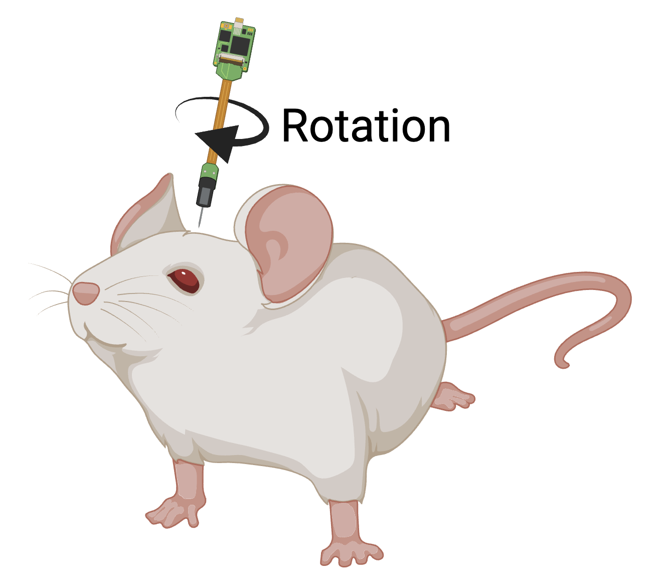 Rotation angle diagram